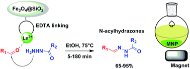 Graphical abstract: Lanthanide–EDTA complexes covalently bonded on Fe3O4@SiO2 magnetic nanoparticles promote the green, stereoselective synthesis of N-acylhydrazones