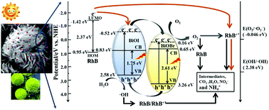 Graphical abstract: Uniform flower-like BiOBr/BiOI prepared by a new method: visible-light photocatalytic degradation, influencing factors and degradation mechanism