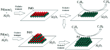 Graphical abstract: Transformation of the active component during oxidative and reductive activation of the palladium hydrogenation catalyst