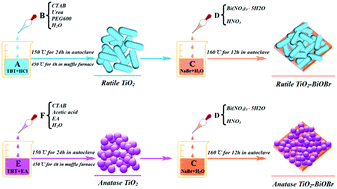 Graphical abstract: High photocatalytic activity of rutile TiO2–BiOBr composites via an in situ synthesis approach