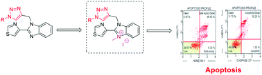 Graphical abstract: Synthesis, characterization and in vitro anticancer activity of thiabendazole-derived 1,2,3-triazole derivatives