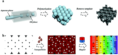 Graphical abstract: Magnetically responsive colloidal crystals with angle-independent gradient structural colors in microfluidic droplet arrays