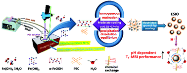 Graphical abstract: Moderate cooling coprecipitation for extremely small iron oxide as a pH dependent T1-MRI contrast agent