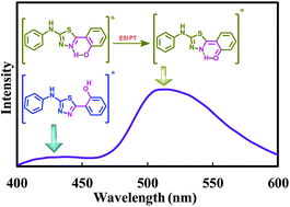 Graphical abstract: The origin of the longer wavelength emission in 2-(4-fluorophenylamino)-5-(2,4-dihydroxybenzeno)-1,3,4-thiadiazole and its analogue 2-phenylamino-5-(2-hydroxybenzono)-1,3,4-thiadiazole