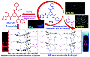 Graphical abstract: Forming a water-soluble supramolecular polymer and an AIEE hydrogel: two novel approaches for highly sensitive detection and efficient adsorption of aldehydes