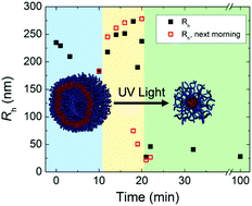 Graphical abstract: UV-induced vesicle to micelle transition: a mechanistic study