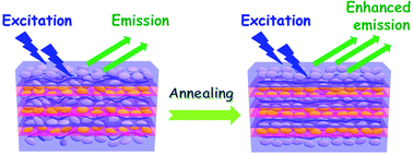 Graphical abstract: The design, synthesis and order-enhanced emission of luminescent liquid crystalline polymers based on a “jacketing” effect