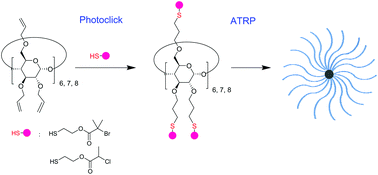 Graphical abstract: Multiarm star polymers based on thiol–ene photoclick cyclodextrin cores