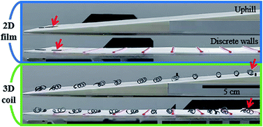 Graphical abstract: Magnetomotility of untethered helical soft robots