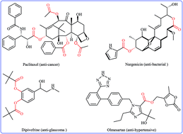 Graphical abstract: Cross-dehydrogenative coupling reactions between arenes (C–H) and carboxylic acids (O–H): a straightforward and environmentally benign access to O-aryl esters