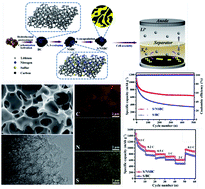 Nitrogen, sulfur-codoped micro–mesoporous carbon derived from boat ...