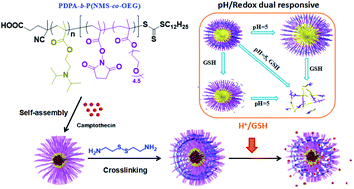 Synthesis Of Crosslinkable Diblock Terpolymers PDPA-b-P(NMS-co-OEG) And ...