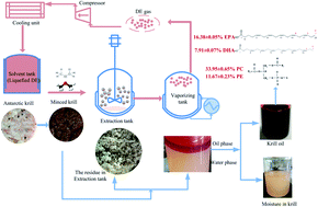 Extraction of oil from wet Antarctic krill (Euphausia superba) using a ...