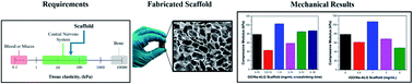 Graphical abstract: Advancing fabrication and properties of three-dimensional graphene–alginate scaffolds for application in neural tissue engineering