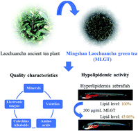 Graphical abstract: Comprehensive evaluation of the composition of Mingshan Laochuancha green tea and demonstration of hypolipidemic activity in a zebrafish obesity model