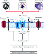 Graphical abstract: Advances in nanomaterials as novel elicitors of pharmacologically active plant specialized metabolites: current status and future outlooks