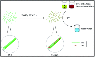 A study of TiO2 nanocrystal growth and environmental remediation ...