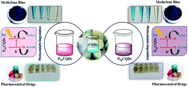 Graphical abstract: TiO2 nanofibres decorated with green-synthesized PAu/Ag@CQDs for the efficient photocatalytic degradation of organic dyes and pharmaceutical drugs