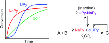 Graphical abstract: Supramolecular interactions between catalytic species allow rational control over reaction kinetics