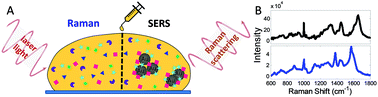 Graphical abstract: Serum Raman spectroscopy as a diagnostic tool in patients with Huntington's disease