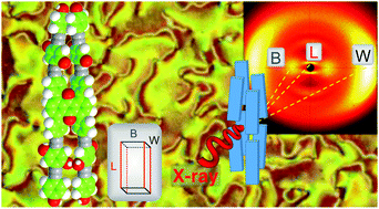 Graphical abstract: From molecular biaxiality of real board-shaped mesogens to phase biaxiality? On the hunt for the holy grail of liquid crystal science