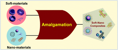 Graphical abstract: Fabrication of soft-nanocomposites from functional molecules with diversified applications