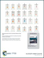 Graphical abstract: Inside back cover