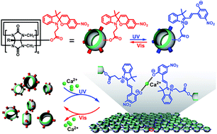 Graphical abstract: Light-mediated formation and dissociation of a two-dimensional supramolecular polymer sheet: one step closer to sustainability