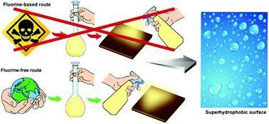 Graphical abstract: Bio-inspired sustainable and durable superhydrophobic materials: from nature to market