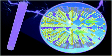 Graphical abstract: The dual-function sacrificing template directed formation of MoS2/C hybrid nanotubes enabling highly stable and ultrafast sodium storage