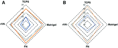 Graphical abstract: The effect of human platelet lysate on the differentiation ability of human adipose-derived stem cells cultured on ECM-coated surfaces