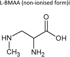 Graphical abstract: Environmental distribution of the neurotoxin l-BMAA in Paenibacillus species