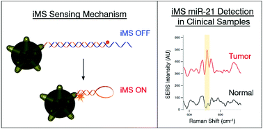 Graphical abstract: Plasmonic nanobiosensors for detection of microRNA cancer biomarkers in clinical samples