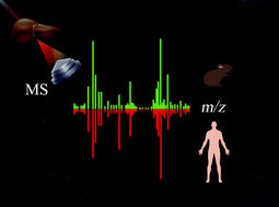 Graphical abstract: Comparative study of alterations in phospholipid profiles upon liver cancer in humans and mice