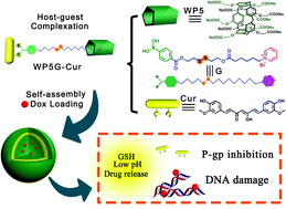 Graphical abstract: A supramolecular nanoprodrug based on a boronate ester linked curcumin complexing with water-soluble pillar[5]arene for synergistic chemotherapies