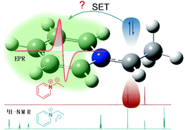 Graphical abstract: Are pyridinium ylides radicals?