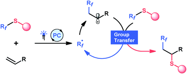 Graphical abstract: Fluoroalkyl sulfides as photoredox-active coupling reagents for alkene difunctionalization