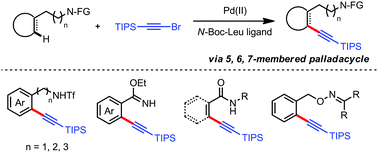 Graphical abstract: Weak coordinated nitrogen functionality enabled regioselective C–H alkynylation via Pd(ii)/mono-N-protected amino acid catalysis