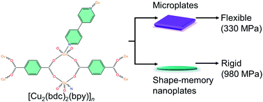 Graphical abstract: Mechanical rigidity of a shape-memory metal–organic framework increases by crystal downsizing