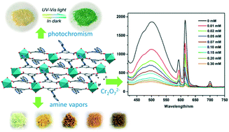 Graphical abstract: A multifunctional photochromic metal–organic framework with Lewis acid sites for selective amine and anion sensing