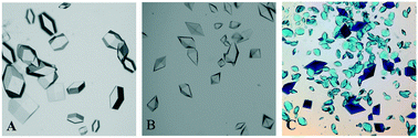 Graphical abstract: Protein crystal occurrence domains in selective protein crystallisation for bio-separation