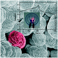 Graphical abstract: The morphology controlled growth of Co11(HPO3)8(OH)6 on nickel foams for quasi-solid-state supercapacitor applications