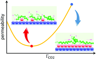 Graphical abstract: Interfacial CO2-mediated nanoscale oil transport: from impediment to enhancement