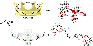 Graphical abstract: Proton conduction in hydronium solvate ionic liquids affected by ligand shape