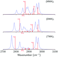 Graphical abstract: Understanding Fermi resonances in the complex vibrational spectra of the methyl groups in methylamines