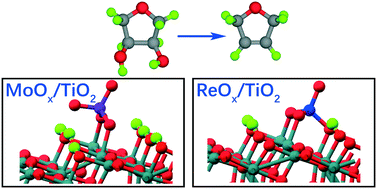 Graphical abstract: Deoxydehydration of 1,4-anhydroerythritol over anatase TiO2(101)-supported ReOx and MoOx