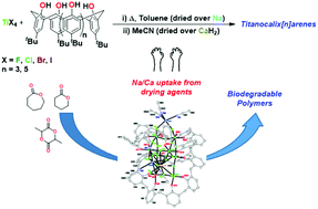 Graphical abstract: INSIGHTS into the structures adopted by titanocalix[6 and 8]arenes and their use in the ring opening polymerization of cyclic esters