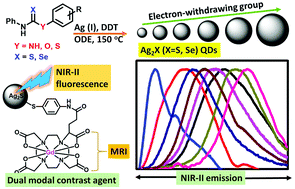 Graphical abstract: Tunable NIR-II emitting silver chalcogenide quantum dots using thio/selenourea precursors: preparation of an MRI/NIR-II multimodal imaging agent