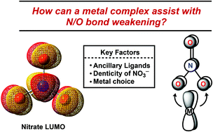 Graphical abstract: Back donation, intramolecular electron transfer and N–O bond scission targeting nitrogen oxyanion reduction: how can a metal complex assist?