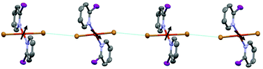 Graphical abstract: Two new canted antiferromagnetic systems: magnetic, theoretical, and crystallographic studies on trans-bis(2-iodopyridine)dihalocopper(ii)